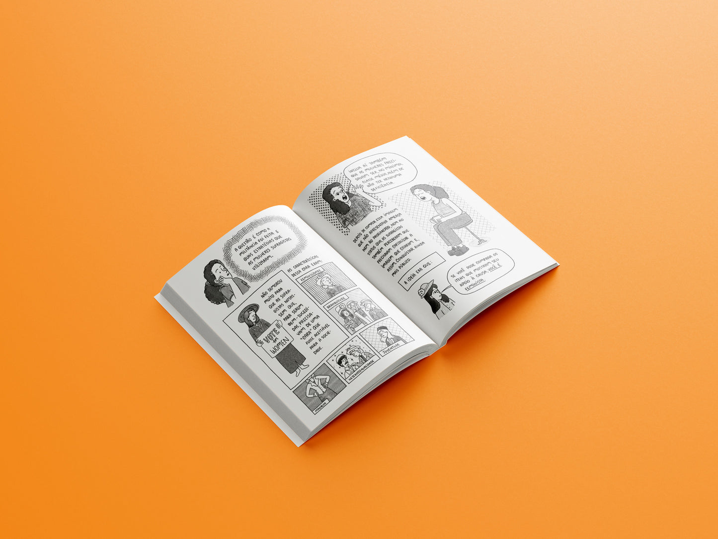 O Feminismo que eu Comprei - Segunda edição